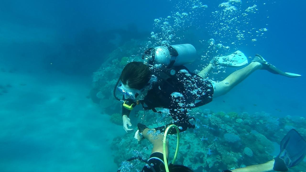 海底世界填颜色3