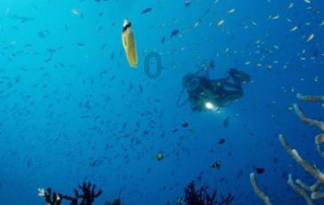 秋季浪漫约会