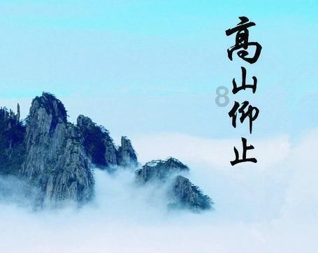 森系丛林