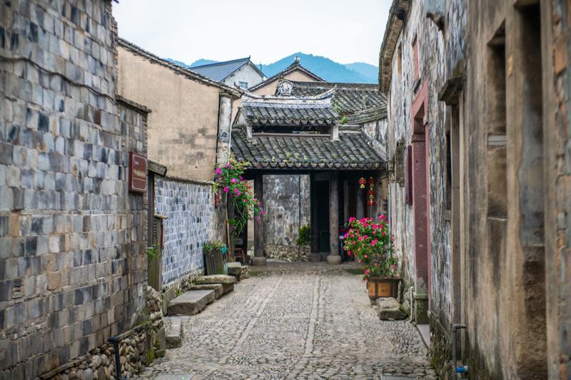 破碎的动物图形3